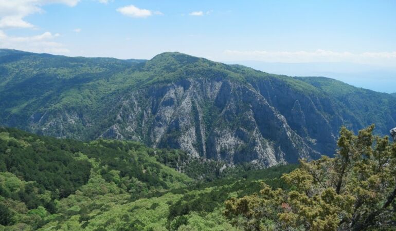 Kazdağları Milli Parkı yangın riski nedeniyle 31 Ekim’e kadar girişe kapatıldı
