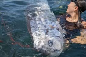 'Kıyamet habercisi' bulundu 2 gün sonra deprem oldu! 3.6 metre büyüklüğünde