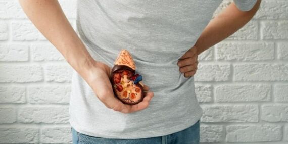 İnsülin direncini kırıyor! Ilık suya ekleyip için: Damarları temizliyor, böbrekleri diyalizden kurtarıyor