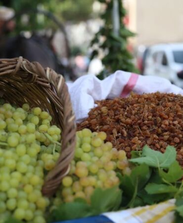 Manisa'da sezonun ilk çekirdeksiz kuru üzüm alımı törenle başladı