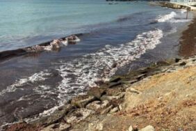 Marmara Denizi'nde poyraz etkili oluyor_ Sahil kırmızı yosunla kaplandı!