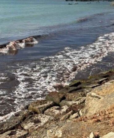 Marmara Denizi'nde poyraz etkili oluyor_ Sahil kırmızı yosunla kaplandı!