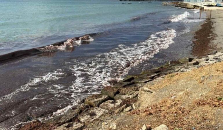 Marmara Denizi'nde poyraz etkili oluyor_ Sahil kırmızı yosunla kaplandı!