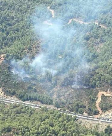 Muğla'da orman yangını! Havadan ve karadan müdahale ediliyor