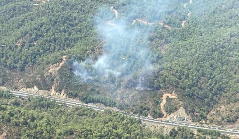 Muğla'da orman yangını! Havadan ve karadan müdahale ediliyor