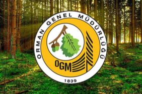 OGM, yanan ormanların imara açıldığı iddialarını yalanladı