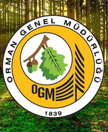 OGM, yanan ormanların imara açıldığı iddialarını yalanladı