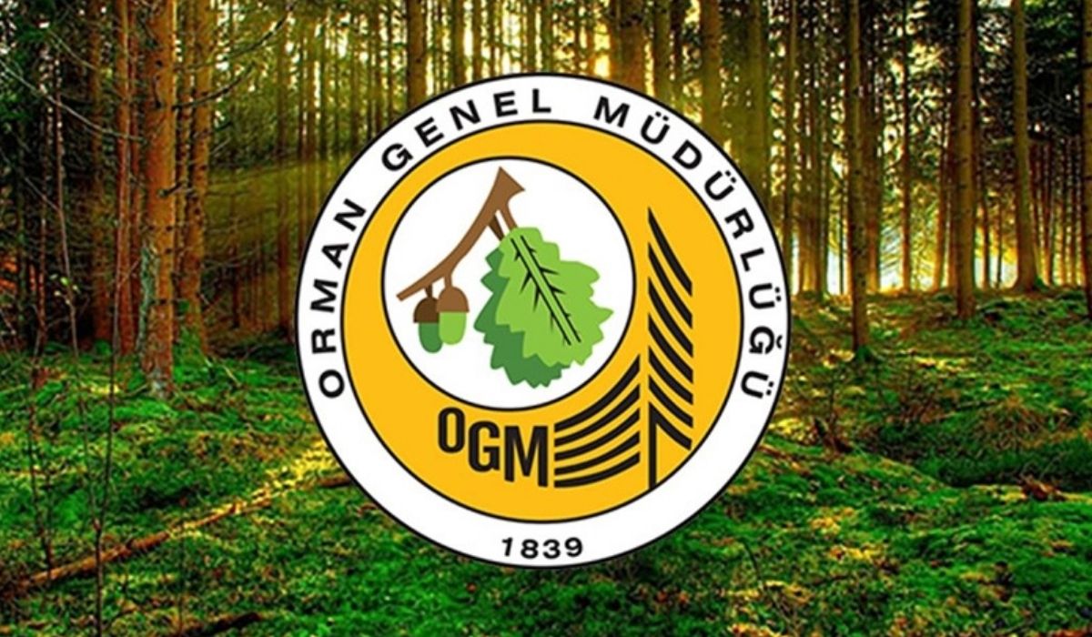 OGM, yanan ormanların imara açıldığı iddialarını yalanladı