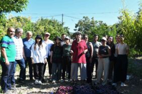Salih Amca'nın erikleri reçel ve marmelata dönüştü!