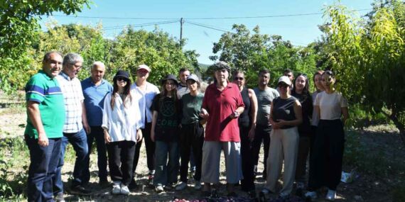 Salih Amca’nın erikleri reçel ve marmelata dönüştü!