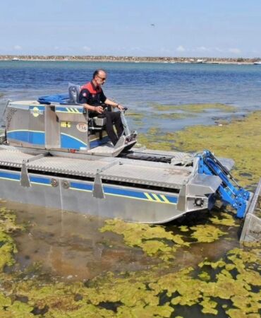 Samsun Büyükşehir Belediyesi, Atakum'da ÇED süreci sonlanan bölgede temizlik çalışması başlattı