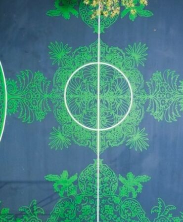 Shane Larkin, “Carpet Court” temalı basketbol sahası açtı
