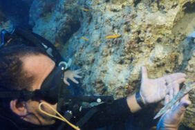 Su altı kazısında 3 bin 600 yıllık hançer bulundu