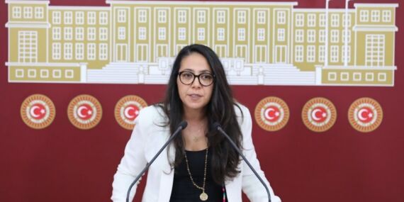 Sera Kadıgil: ‘Hemen bugün seçim olmalı’