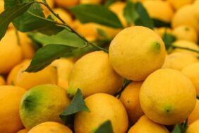 Temmuzda en çok limonun fiyatı arttı