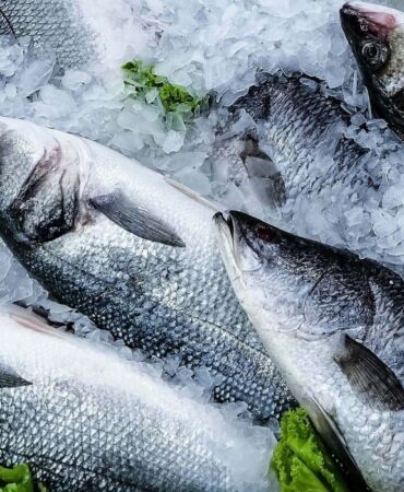 Türkiye dünya standartlarında balık üretiyor Yetiştirilen balıklar güvenli