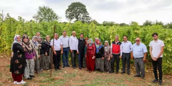 Türkiye’nin bir numaralı seçimi: İlk hasadı yapıldı! Magnezyum ve kalsiyum deposu, kemik sağlığının güvencesi…