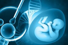 Yapay zeka tüp bebek için en uygun embriyoyu seçiyor 10 kat daha hızlı!