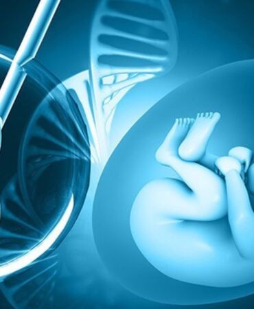 Yapay zeka tüp bebek için en uygun embriyoyu seçiyor 10 kat daha hızlı!