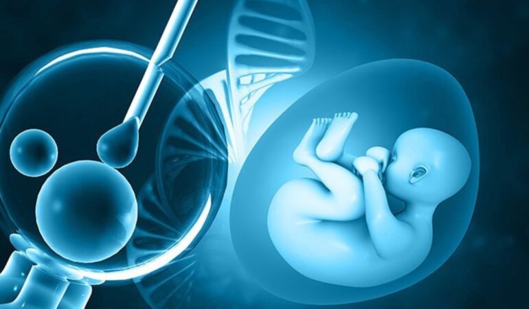 Gaziantep’te yeni bir hayat: Dar gelirli ailelere tüp bebek desteği