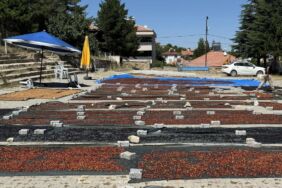 Yozgat Sorgun'dan, Japonya'ya kiraz