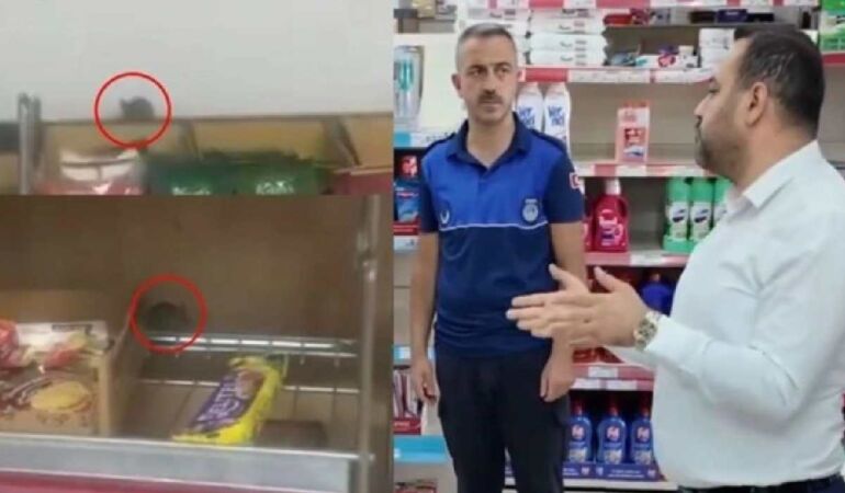 A101 şubesi raflarında farelerin gezdiği görüldüğü için mühürlendi. Yetkiliden ‘Abartıldığı kadar yok ama…’ açıklaması şaşırttı!