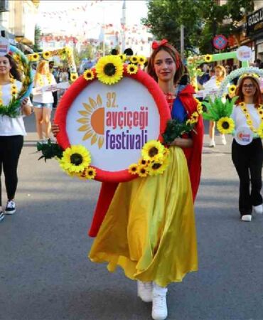 ayçiçeği festivali