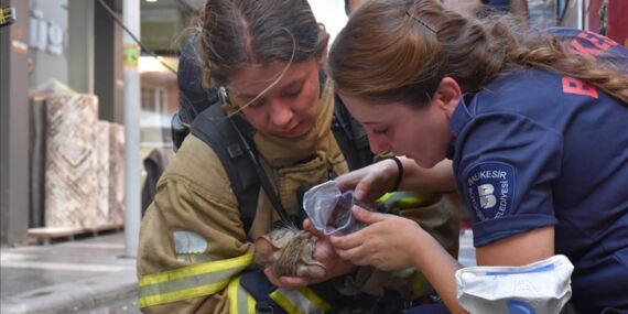 Sokak dostlarının canı Ahmet Akın’a emanet!