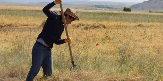 Çiftçi artan girdi maliyetleriyle baş edemiyor: Tarım sektörü sıkıntıda