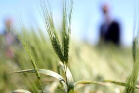 fotoğraf yarışması