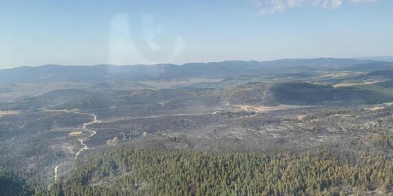 Kızılcahamam ve Gerede arasındaki yangın kontrol altına alındı