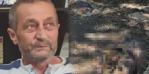 Domaniç’te köpek katliamı: Sulama havuzunda onlarca köpek ölü bulundu