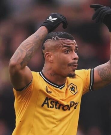 lemina (1)