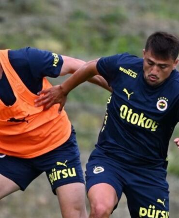 luan peres