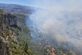 mersin orman yangını