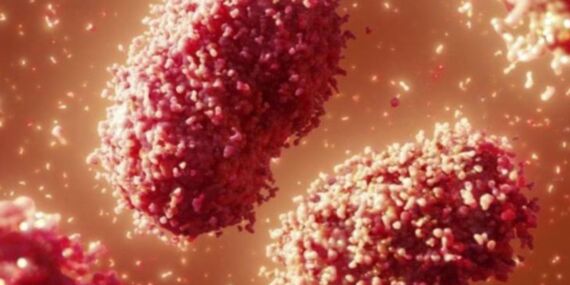 Mpox virüsü hakkında DSÖ’nün yeni raporu: Belirtiler ve bulaşma yolları
