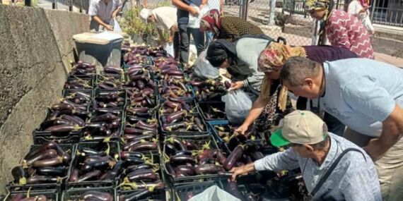 25 dönüm arazideki mahsulünü ihtiyaç sahiplerine bedava verdi