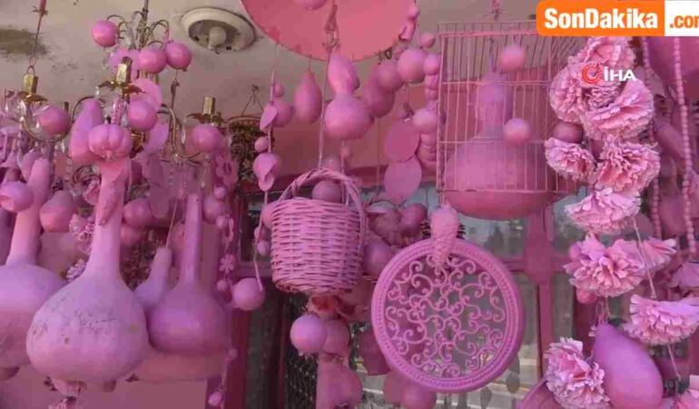 Ispartalı Sakine teyzenin ‘Pembe’ tutkulu hayatı