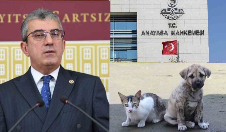 CHP’den sokak hayvanları yasasının iptali için AYM’ye 182 sayfalık dilekçe
