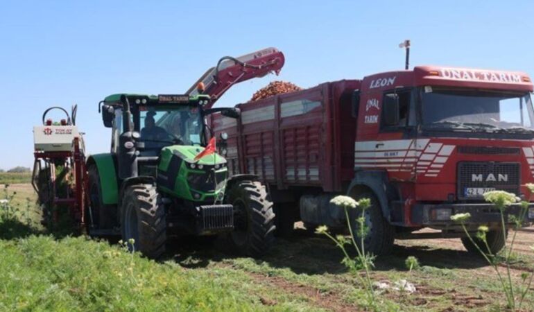 TÜİK’ten enflasyonu körükleyecek artış uyarısı!
