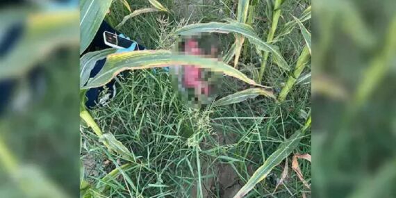Tarlada bulunan bebeğin annesi 15 yaşında çocuk çıktı, anneye istismarda bulundan da 16 yaşında bir çocuk…