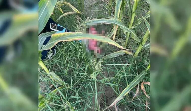 Tarlada bulunan bebeğin annesi 15 yaşında çocuk çıktı, anneye istismarda bulundan da 16 yaşında bir çocuk…