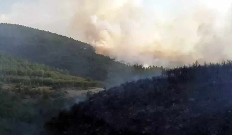 Tokat’ın Erbaa ilçesinde korkutan orman yangını
