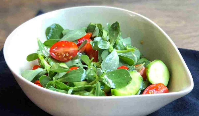 Yabani Semizotu ( Pirpirim) Salatası