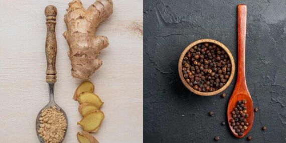 Hastalıkların tedavisinde umut vaat eden doğal bileşikler: Zencefil kökü ve karabiber