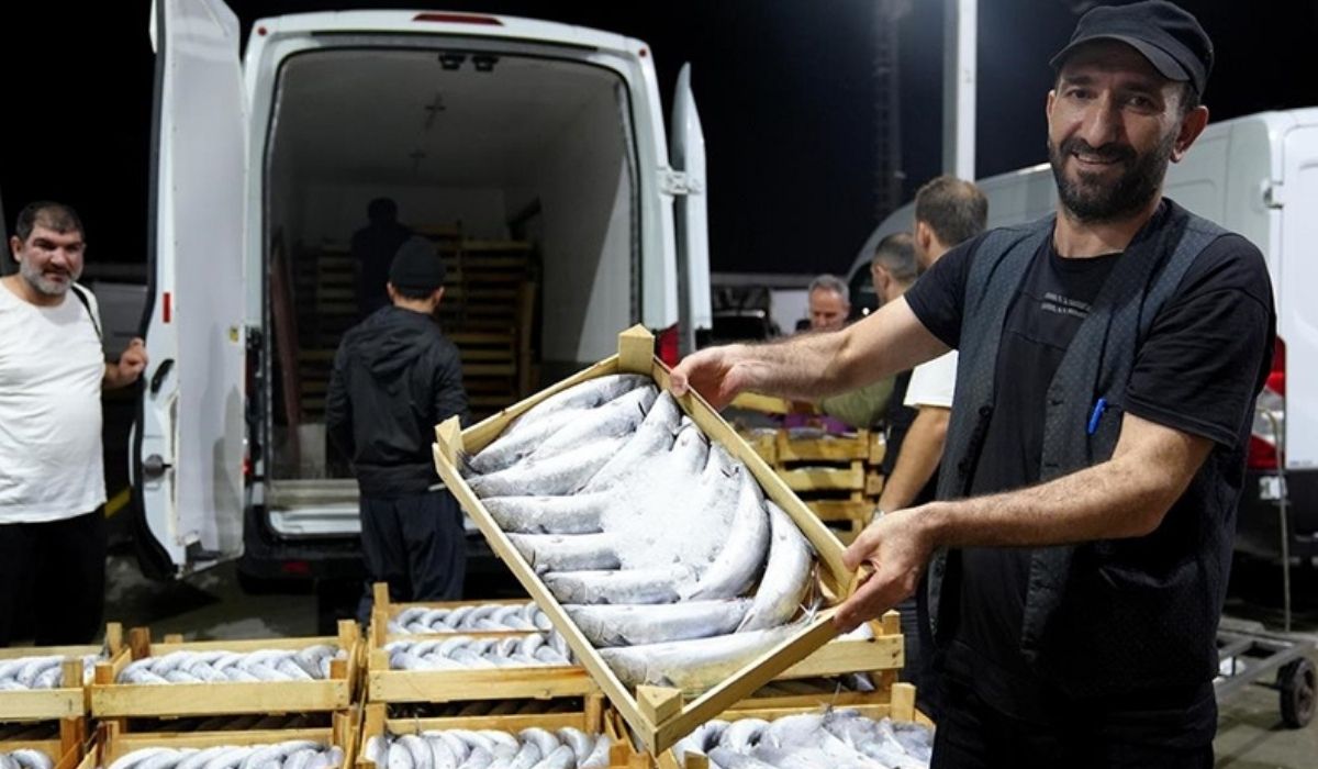 Beylikdüzü Gürpınar Balık Hali'nde, palamut bolluğu balıkçıların yüzünü güldürdü