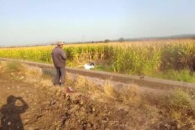 Çanakkale Ezine'de, otomobil tarlaya devrildi Anne-kız can verdi