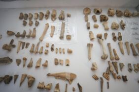 Daskyleion Antik Kenti Su ürünleri ve yabani hayvanlarla beslenen bir medeniyet