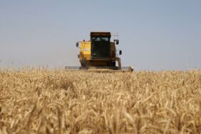 Dijital Dönüşüm Ofisi duyurdu ÇKS kayıt yenileme başvurularının e-Devlet Kapısı üzerinden alınmasına başlandı