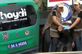 Kadın polis memurunu şehit eden şüpheli adliyeye Hayvan Büro Amirliği’nin aracıyla sevk edildi